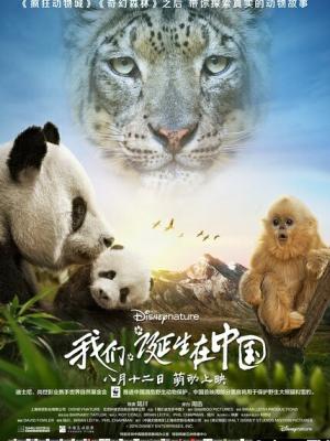 历史小说